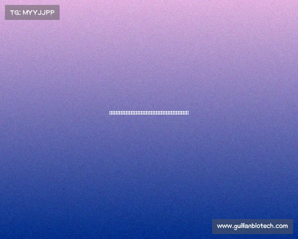 铜川体育赛事激情开幕全球健儿齐聚角逐桂冠共享荣耀时刻盛会精彩绝伦